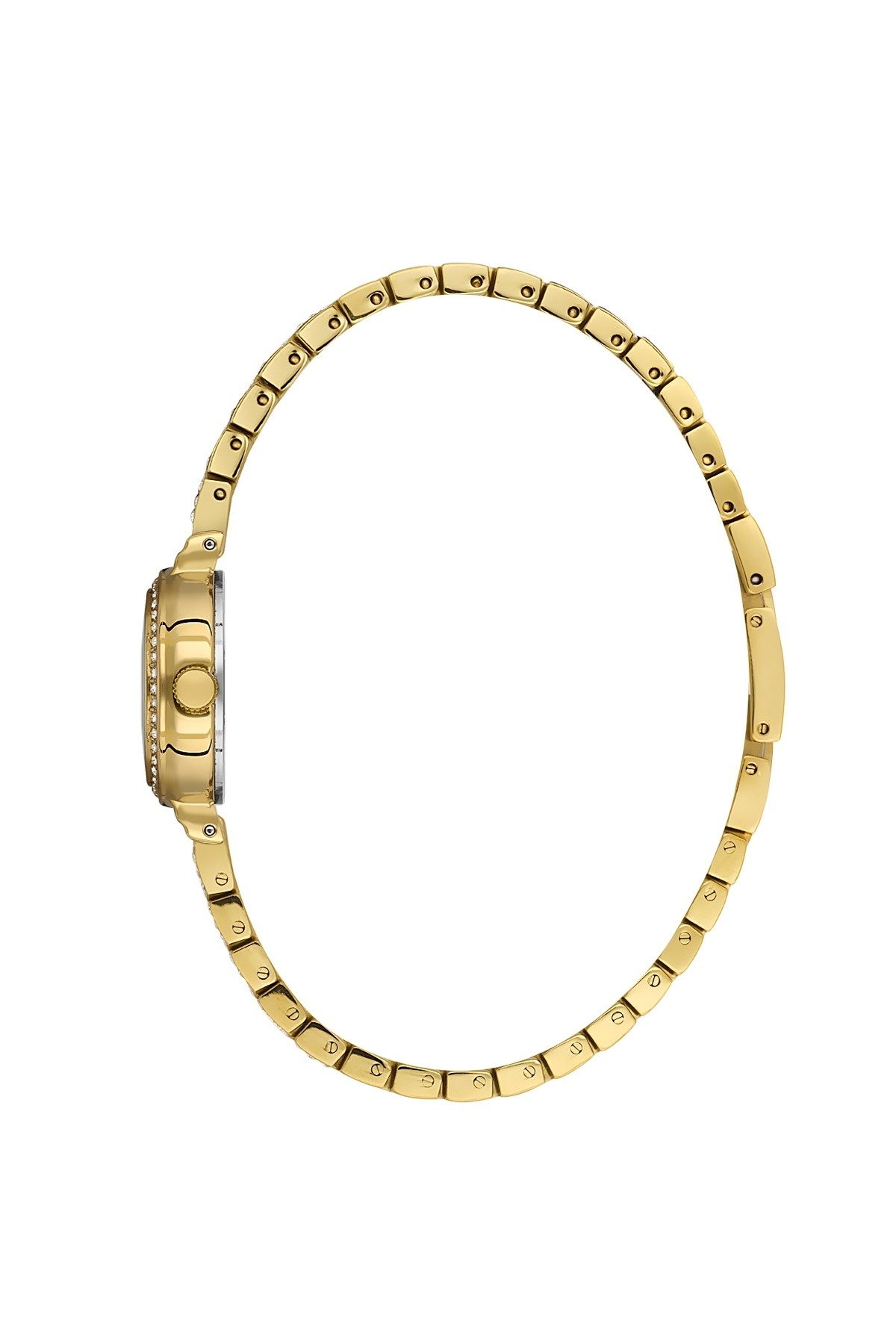 Daniel Klein Dk.13.10115-2 Kadın Kol Saati