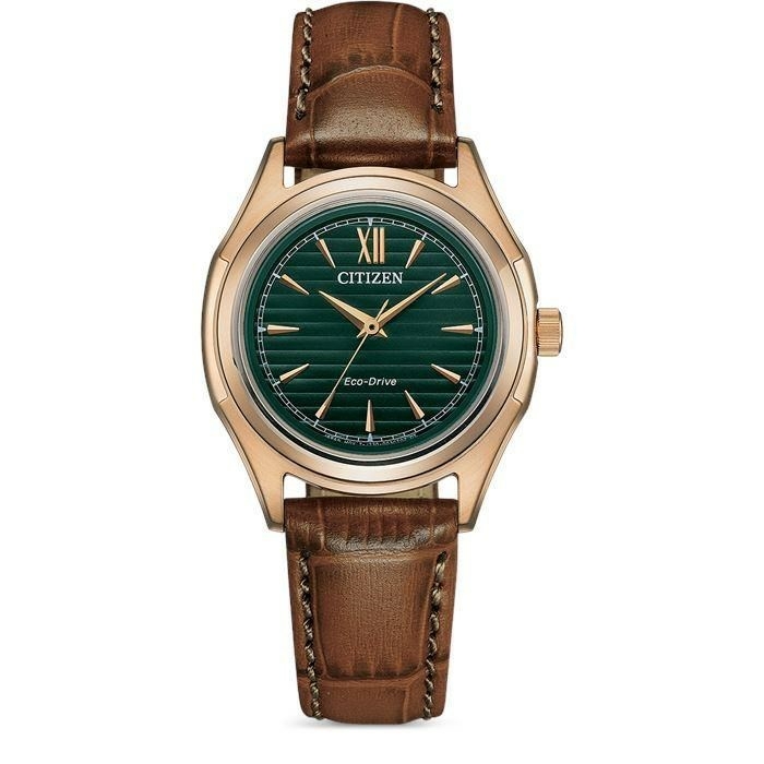 Cıtızen Fe2113-16X