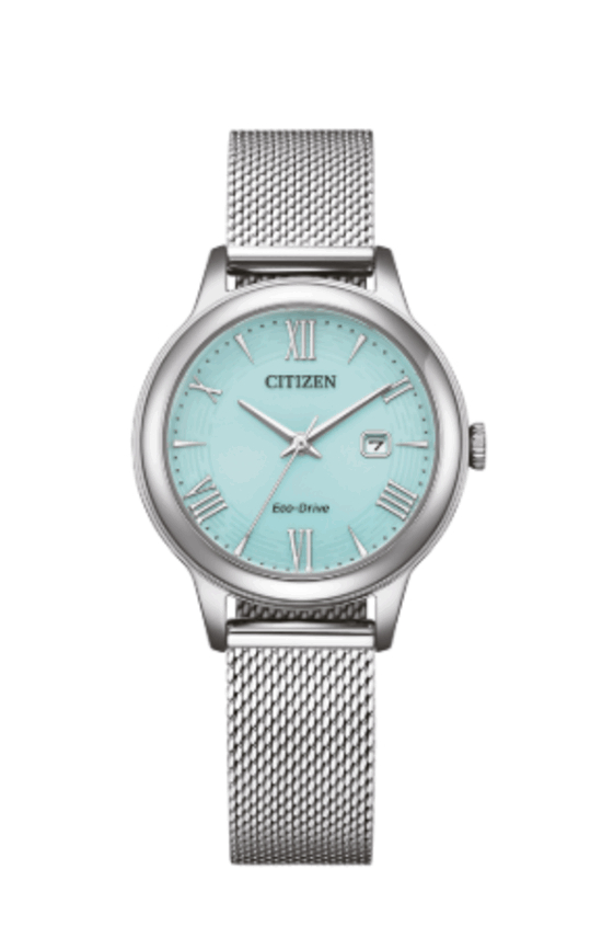 Cıtızen Ew2621-75M