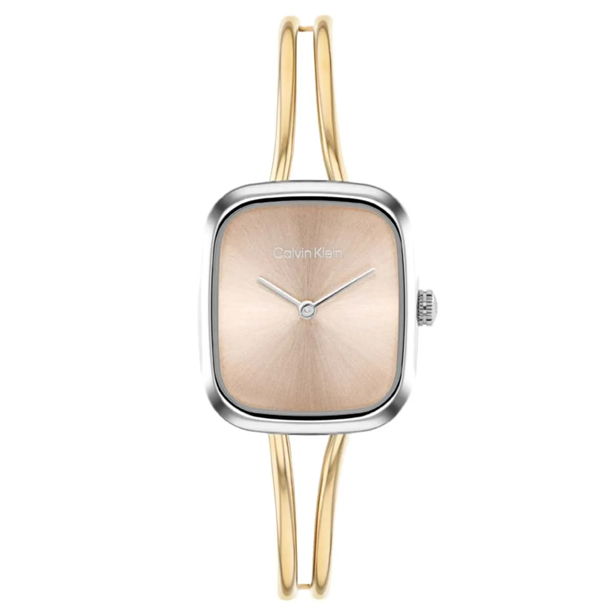 Calvin Klein Ck25100134 Kadın Kol Saati