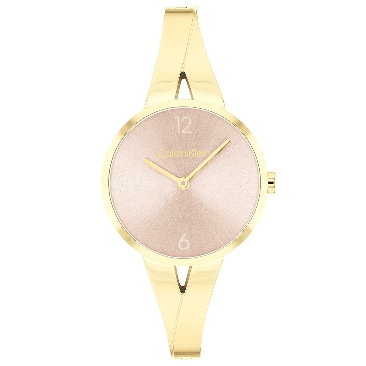 Calvin Klein Ck25100027 Kadın Kol Saati