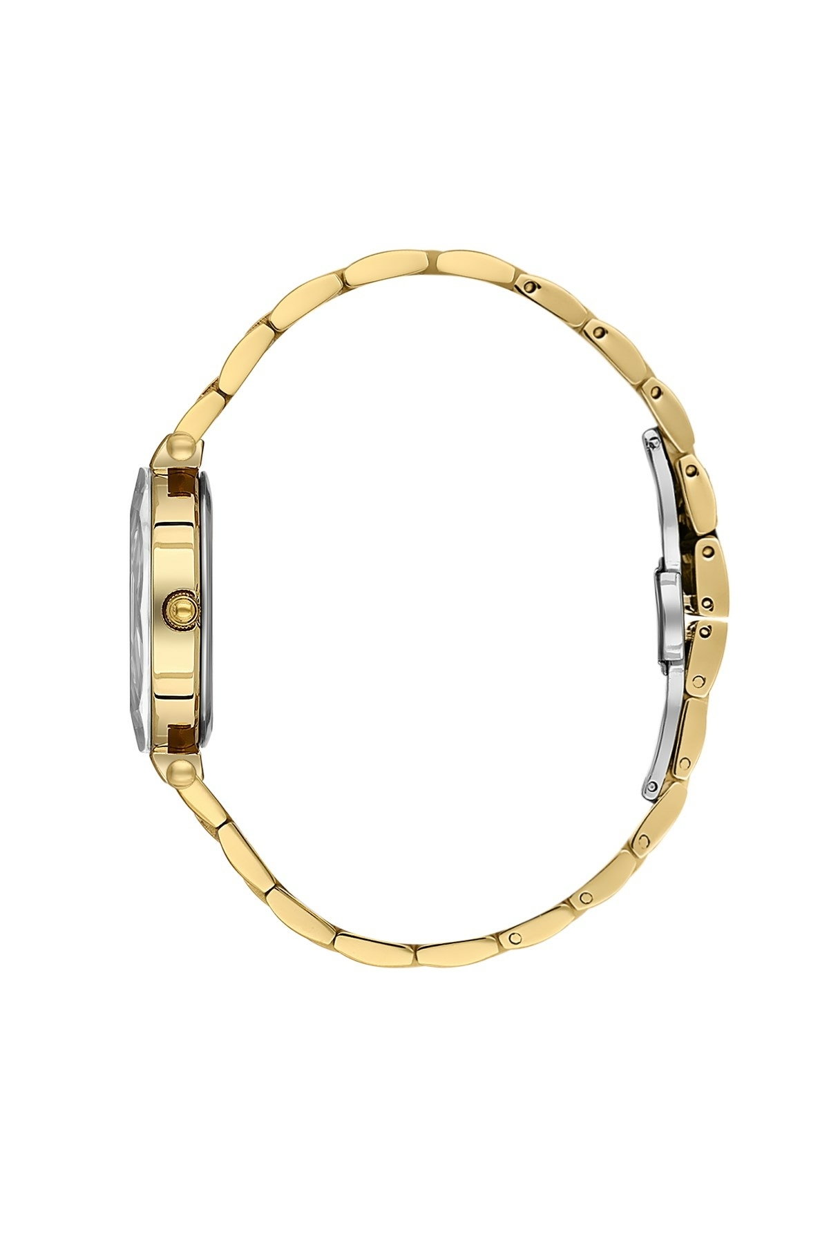 Daniel Klein Dk.13.10164-4 Kadın Kol Saati